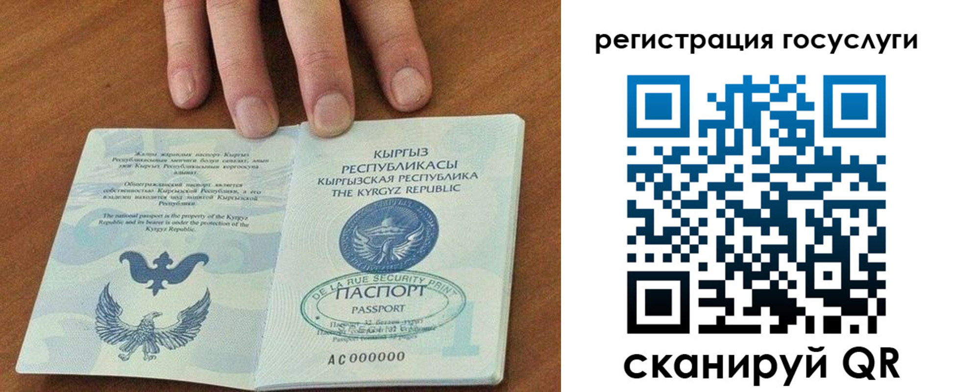 прописка ребенка в Советске